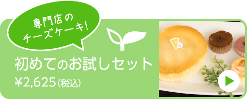 初めてのお試しセット｜チーズケーキ専門店seed